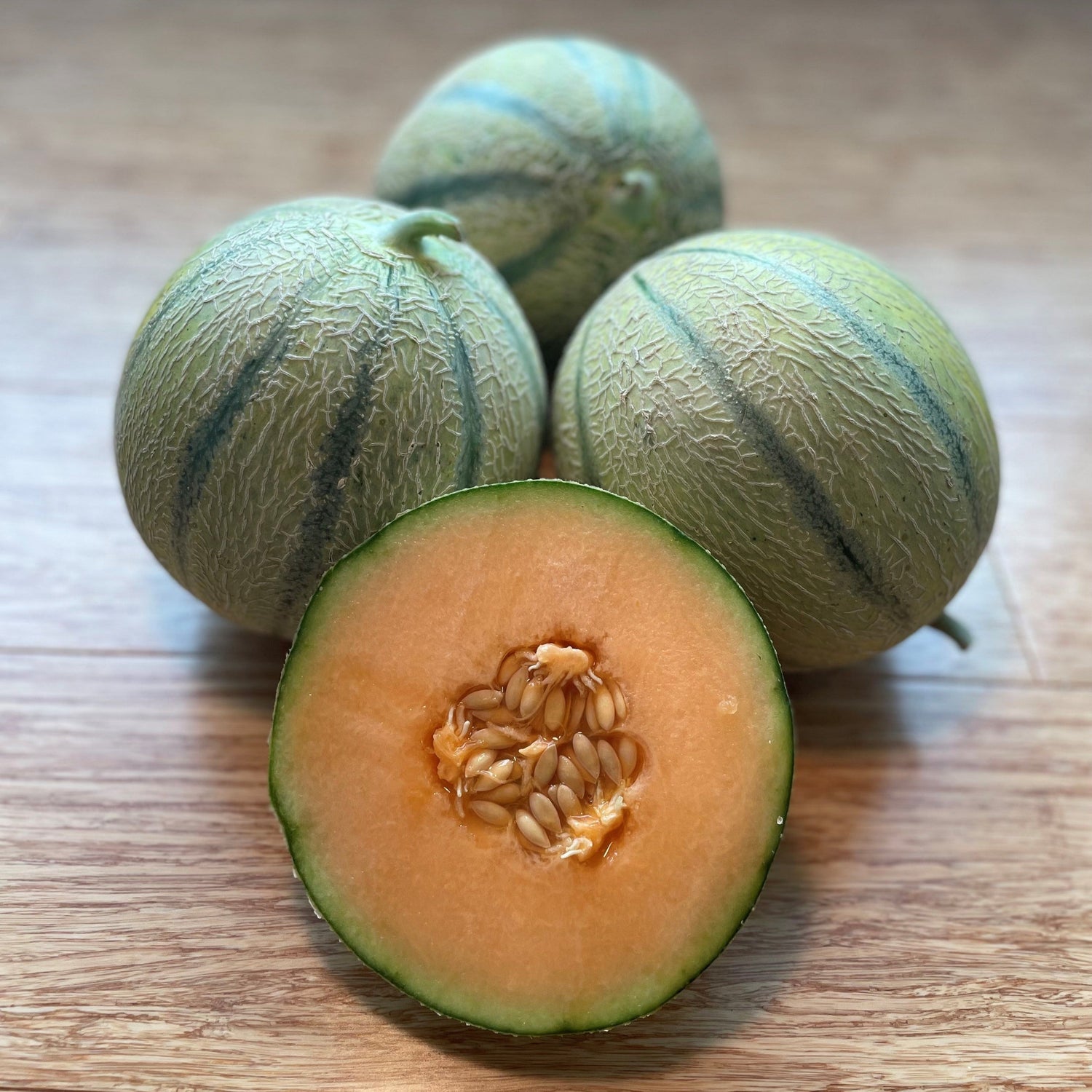 Hybrid Gourmet Melon - Melonade