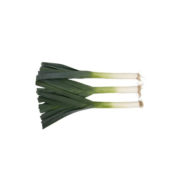 Hybrid Leek - Nebulus RZ