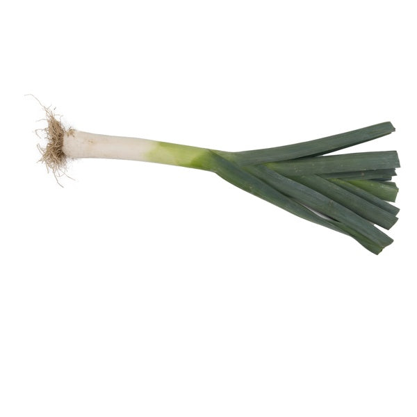 Hybrid Leek - Nebulus RZ