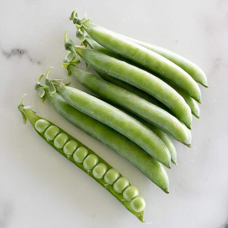 OP Shelling Pea - PLS 595