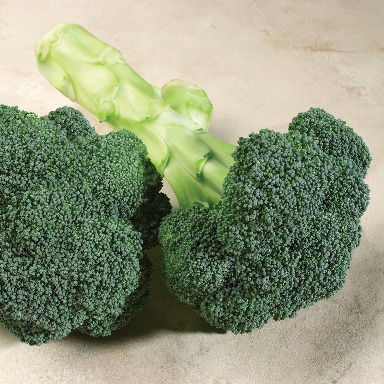 Hybrid Broccoli - Patron