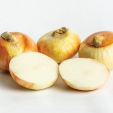 Hybrid Short Day Yellow Onion - Plethora