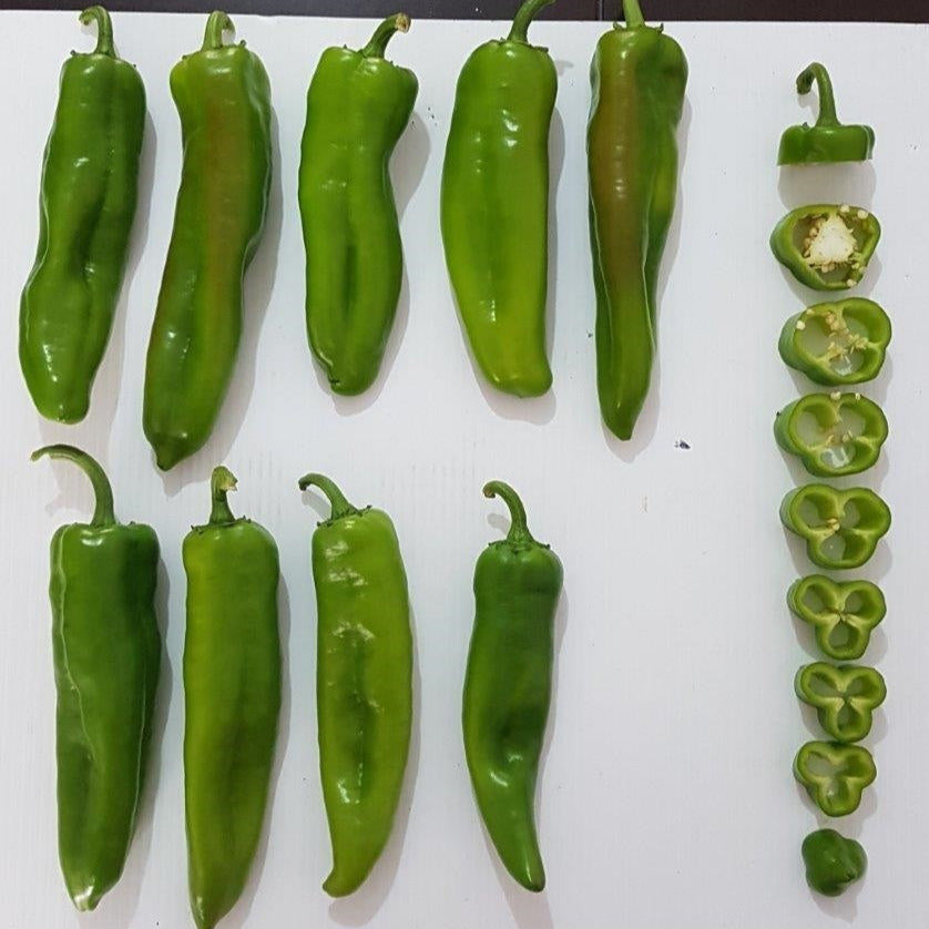 Hybrid Anaheim Pepper - Rubicon