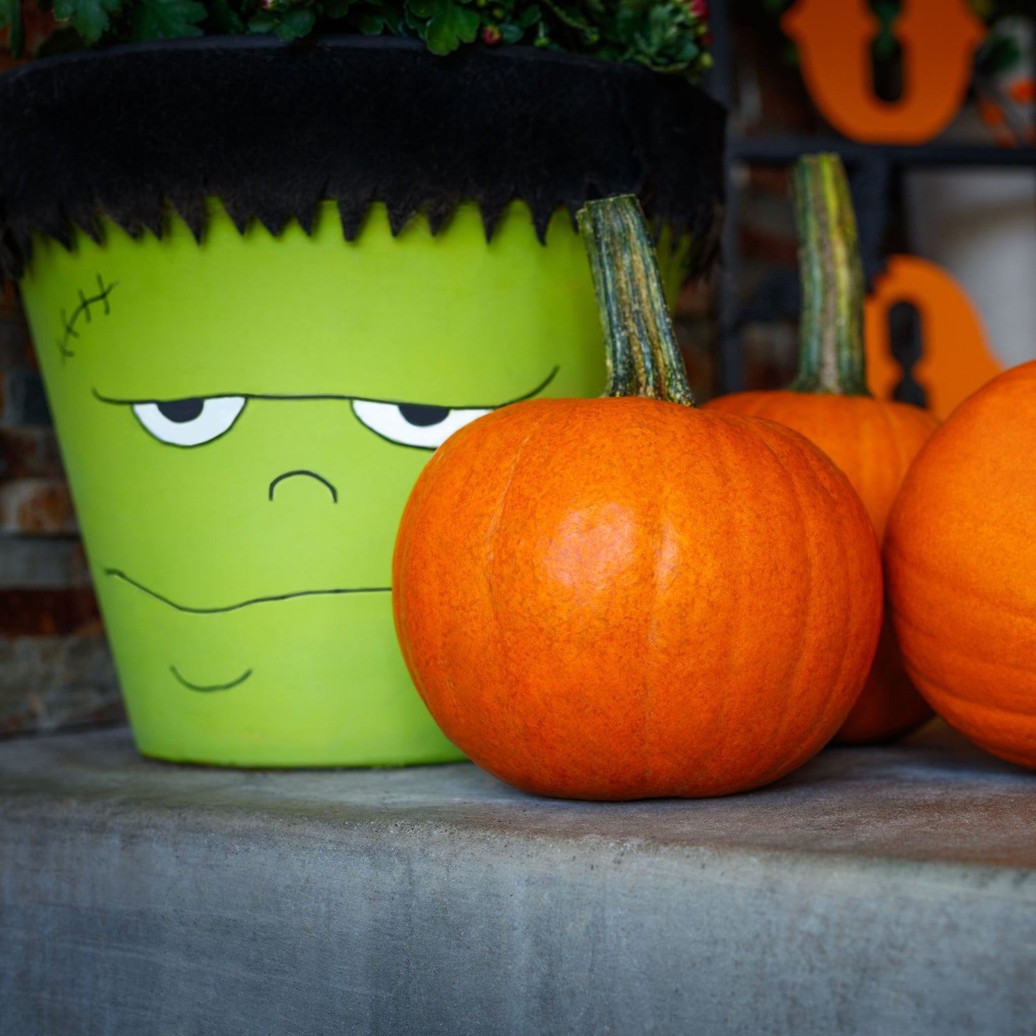 Hybrid Small/Pie Pumpkin - Rugrat