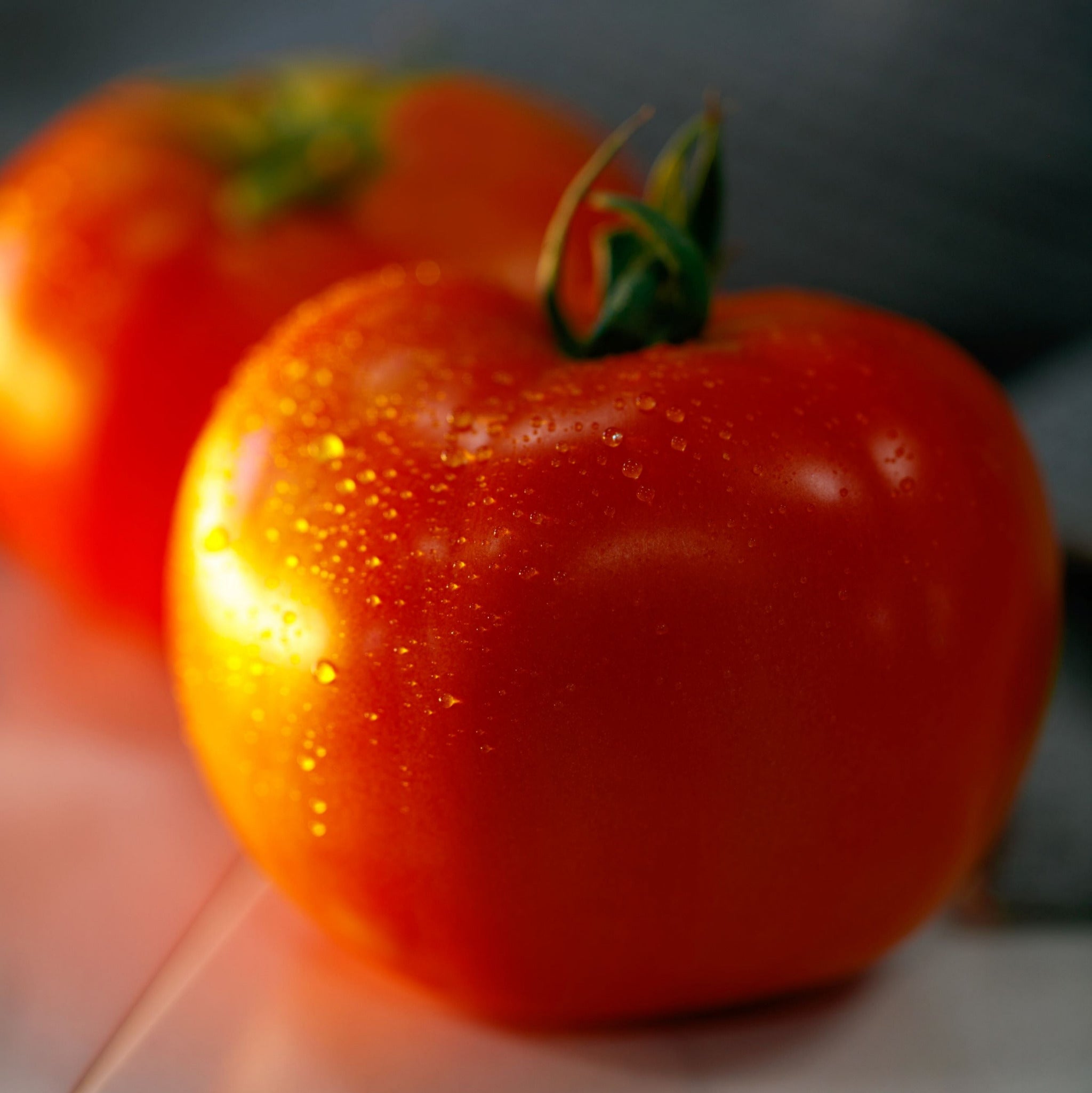 Hybrid Round Red Tomato - STM2255 – Gowan