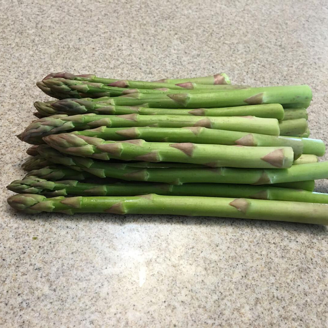 Hybrid Asparagus - Spartacus