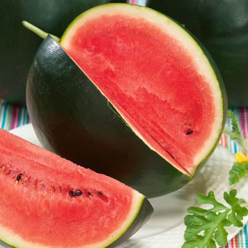OP Diploid (Seeded) Sugar Baby Rind Watermelon - Sugar Baby