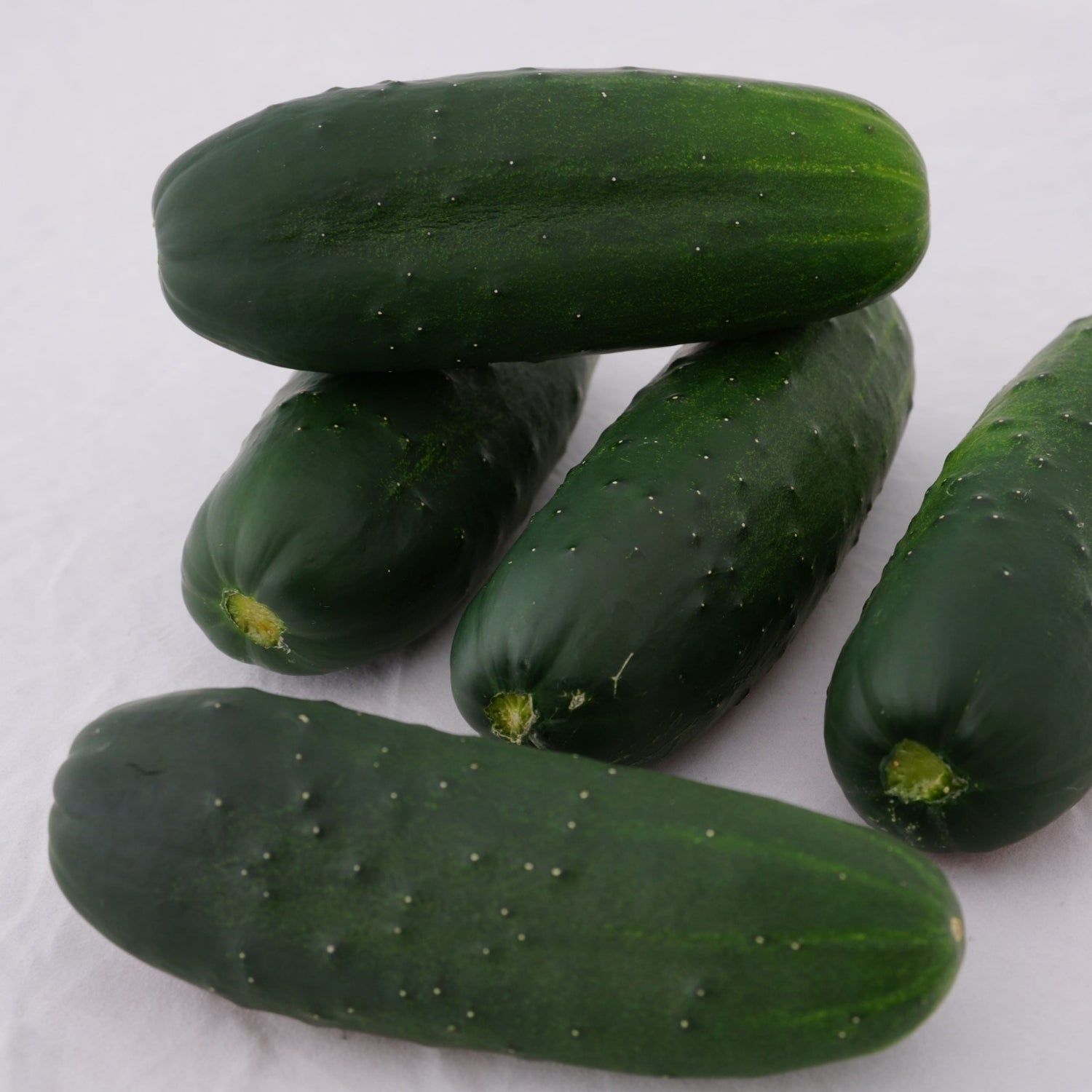 Hybrid Pickling Cucumber - Super Max