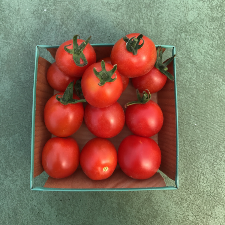 Hybrid Red Cherry Tomato - Sweet Million