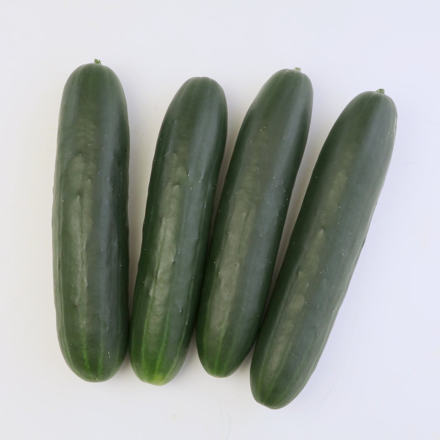 Hybrid Slicing Cucumber - TSX-CU203AS