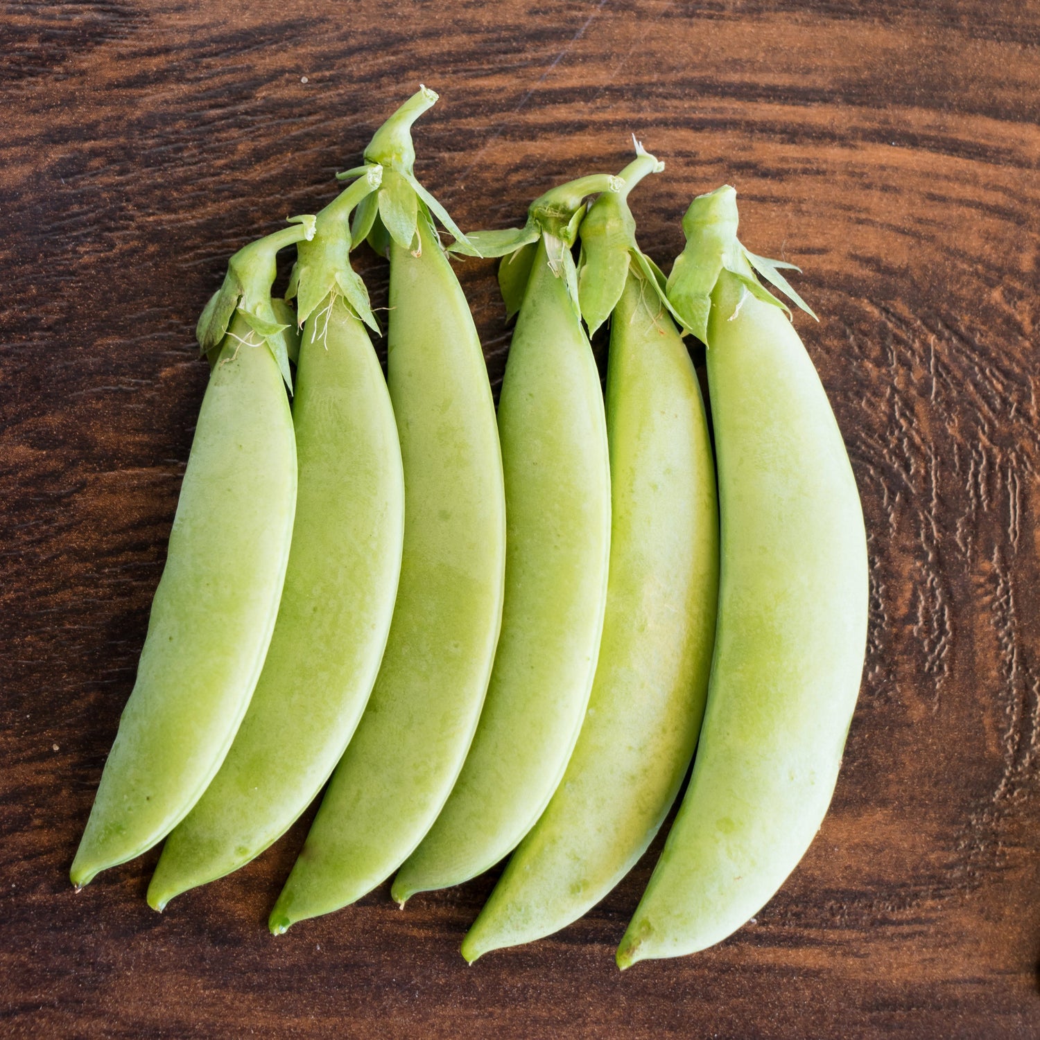 OP Snap Pea - Tendersweet