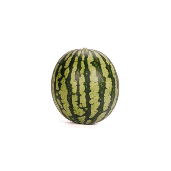 Hybrid Triploid (Seedless) Yellow Flesh Watermelon - Tropical Honey RZ