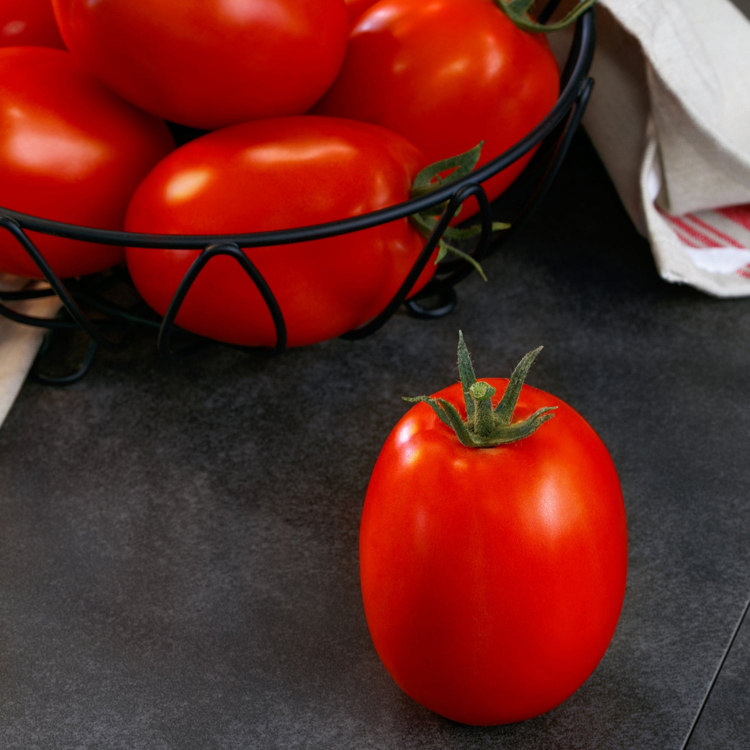 Hybrid Roma/Saladette Red Tomato - Villa