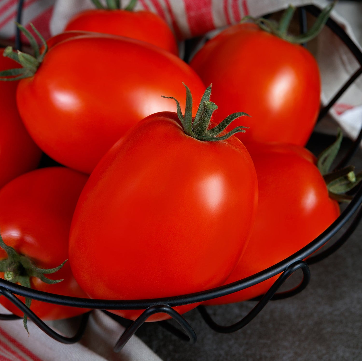 Hybrid Roma/Saladette Red Tomato - Villa