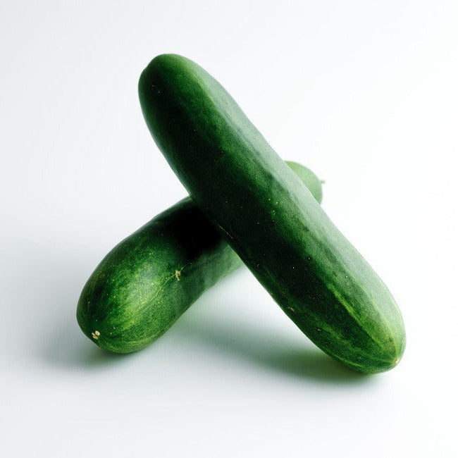 Hybrid Slicing Cucumber - WS-7584